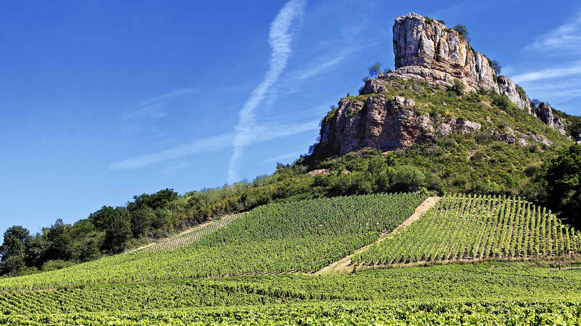 Location salles de réception et parc - chateau-3-fontaines-site-web-blog-route-des-vins-luberon